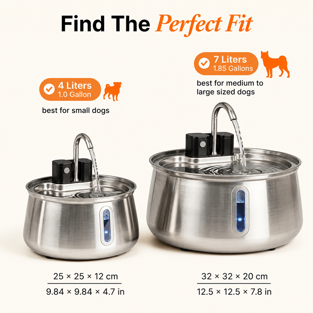 wireless 4l capacity