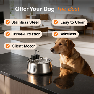 Wireless Fountain™ Care Bundle