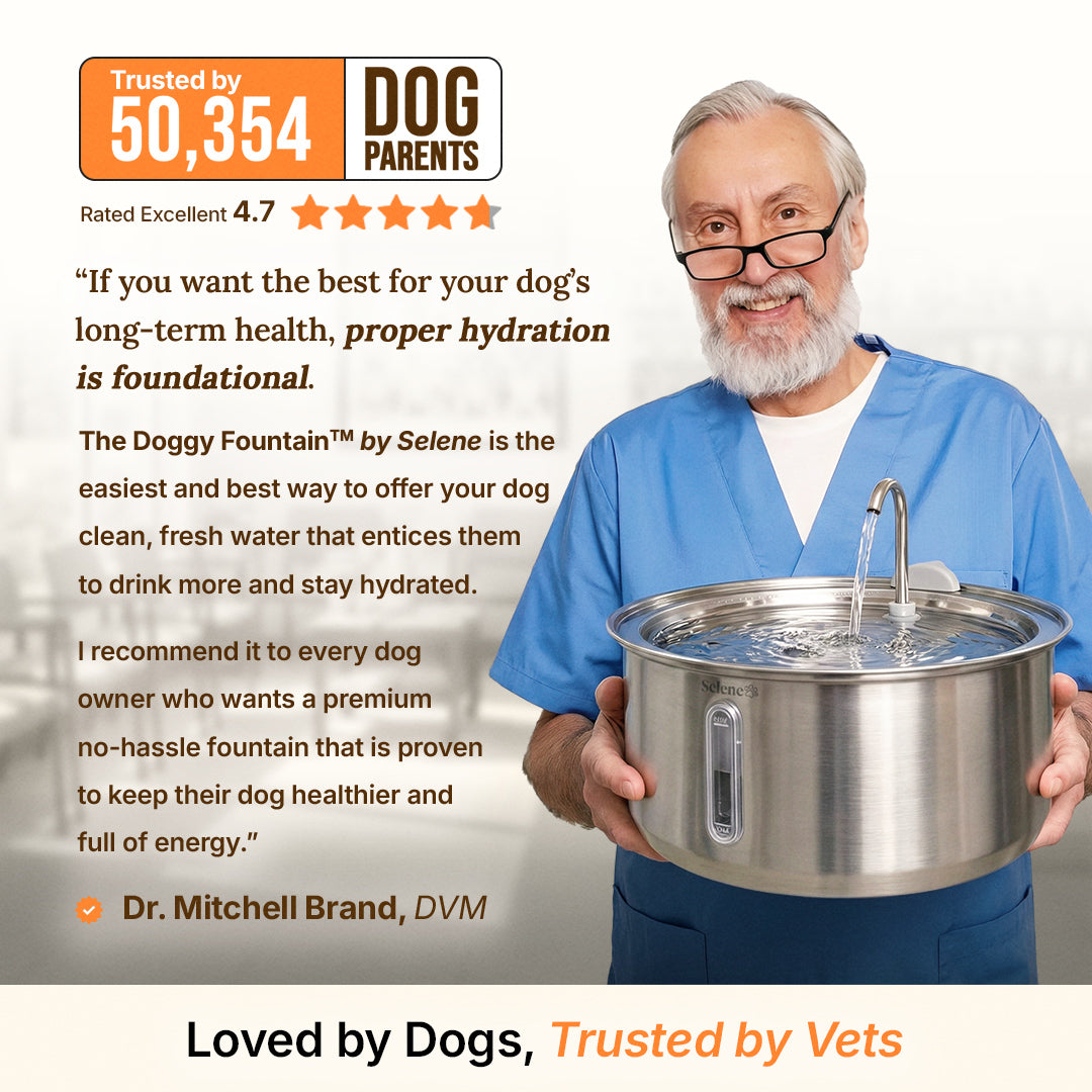 plug-in 7l capacity plug-in 4l capacity