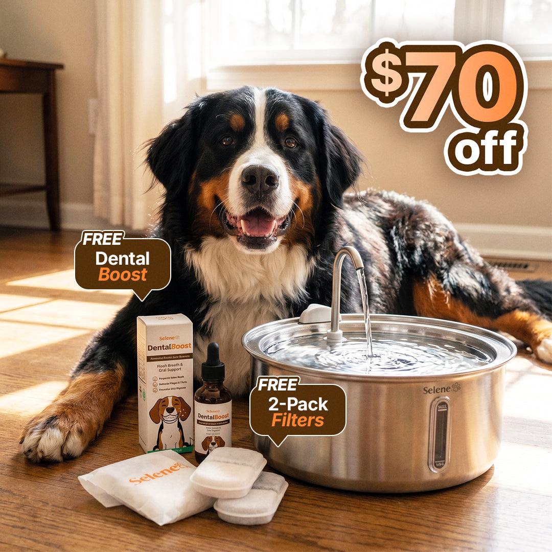 The Doggy Fountain™