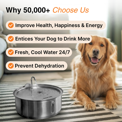 The Doggy Fountain™