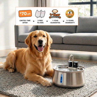 The Doggy Fountain™