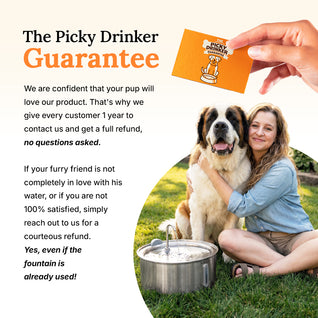 The Doggy Fountain™