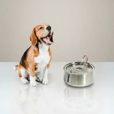The Doggy Fountain™