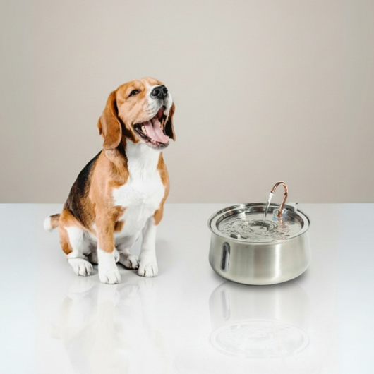 The Doggy Fountain™