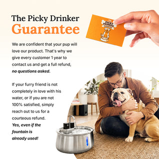 Wireless Doggy Fountain™