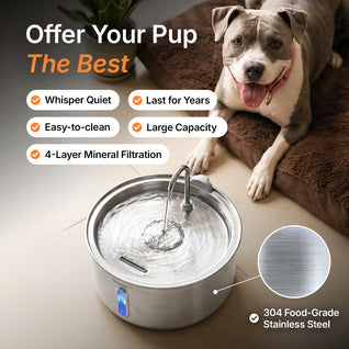 The Doggy Fountain™
