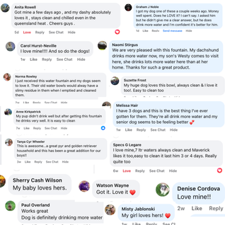 The Doggy Fountain™