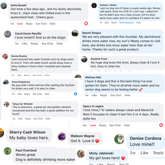 The Doggy Fountain™