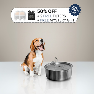 The Doggy Fountain ™