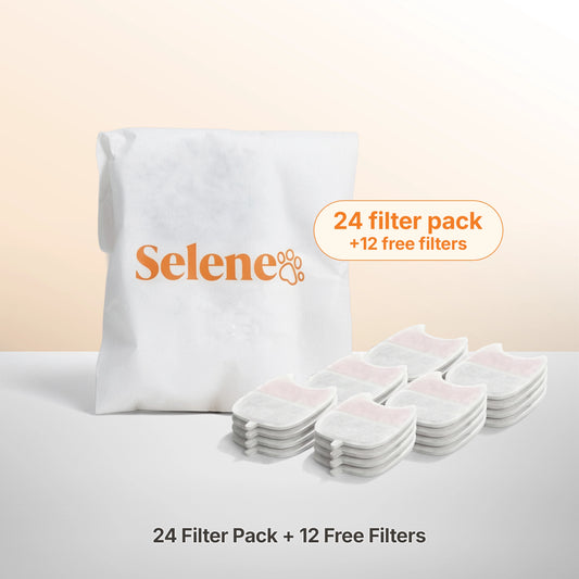 Wireless Fountain Filters - The Year Supply