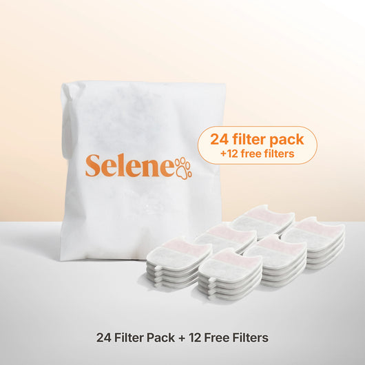 Wireless Fountain Filters - The Year Supply