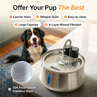 Wireless Doggy Fountain™