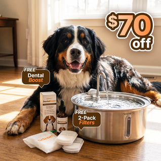 The Doggy Fountain™