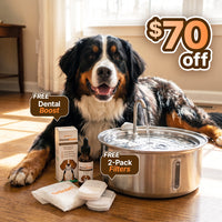 The Doggy Fountain™