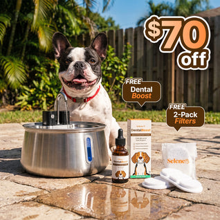 Wireless Doggy Fountain™