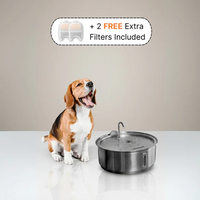 The Doggy Fountain™