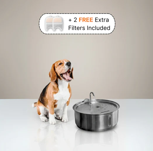 The Doggy Fountain™