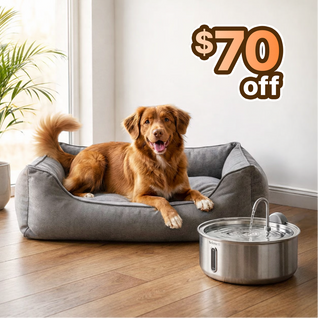 The Doggy Fountain™