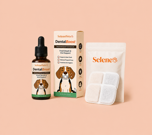 Health Bundle